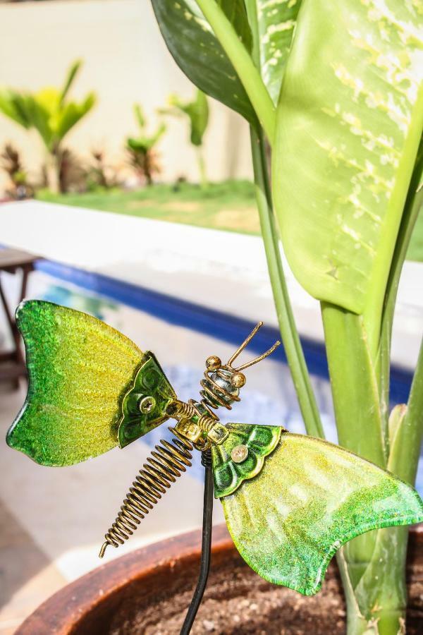 Tulum Stunning Villa For 10-Cabana-Private Pool-Parking Esterno foto